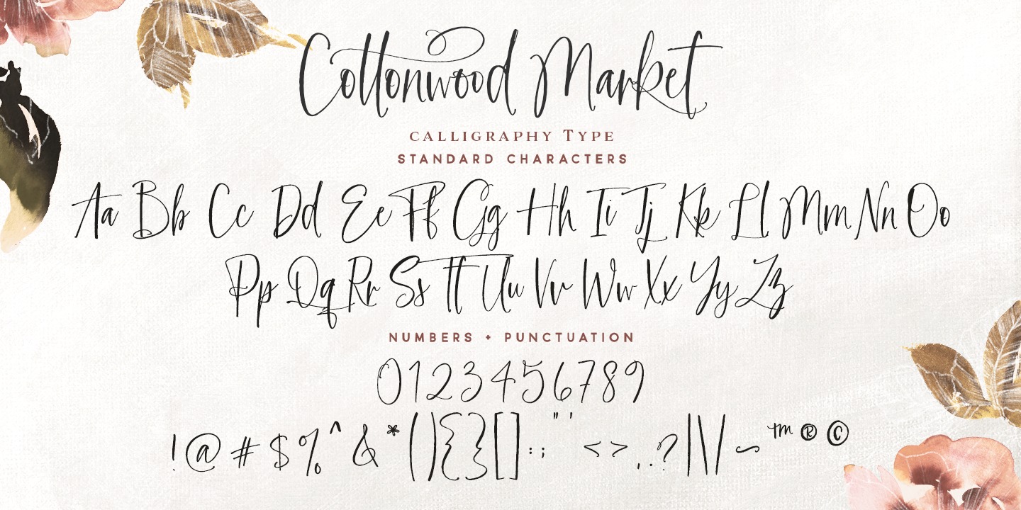 Beispiel einer Cottonwood Market-Schriftart #5